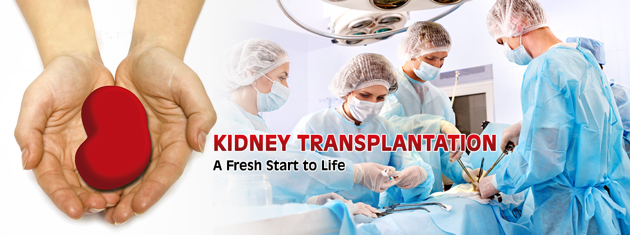 kidney transplantation chennai